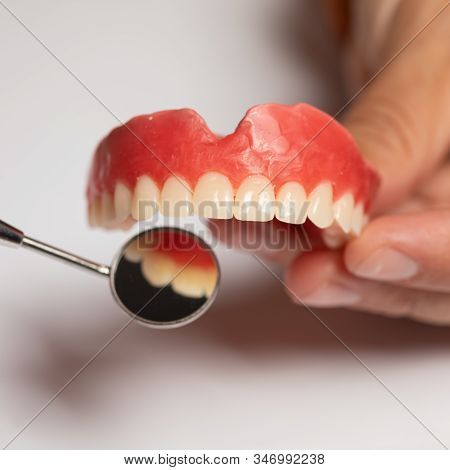 Denture Prosthesis In Doctor Dentist Hands, Checking With Mirror