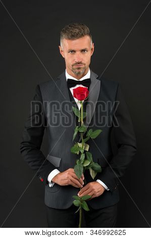 Man Dressed Up In Tuxedo With Rose. Groom With Tie And Red Rose. Her Elegant Valentine. Man Tuxedo H