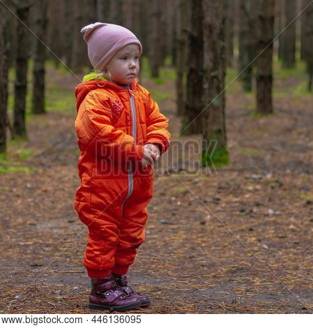 A Baby Girl Caucasian 2 Years Old In An Orange Jumpsuit Stands Alone In A Pine Forest In Autumn, A L