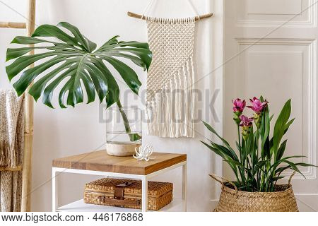 Trendy Composition Of Home Garden Interior With Wooden Coffee Table, Plants And Flowers, Ladder, Rat