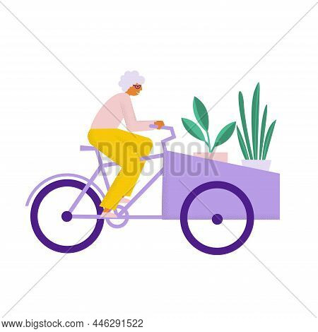 Elderly Woman Riding Cargo Bike With Plants. Grandmother Transports Carries Her Staff On Bakfiets Bi