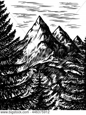 Mountains Peaks. Nature Landscape With Fir Trees. Camping Logo And Label. Trip In The Forest, Outdoo