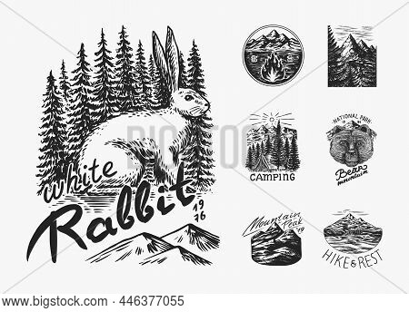 Mountains Peaks. Forest Trees And Tent And Sun. Nature Landscape With Fir Trees. Camping Logolabel. 