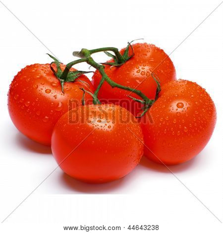 Tomatoes on a white background
