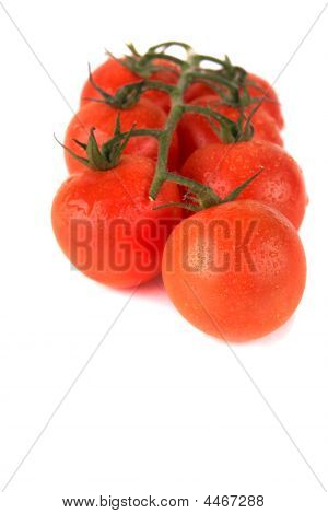 frische tomatobunch