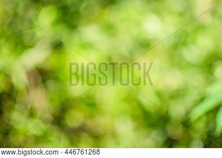 The Concept For Design Blurred And Defocused Effect Season. Abstract Bokeh Green Color For The Natur