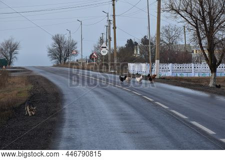 Asphalt Road Between The Villages In Rural Areas