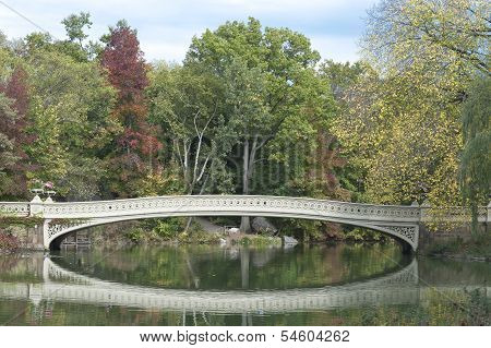 Central Park view, New York City