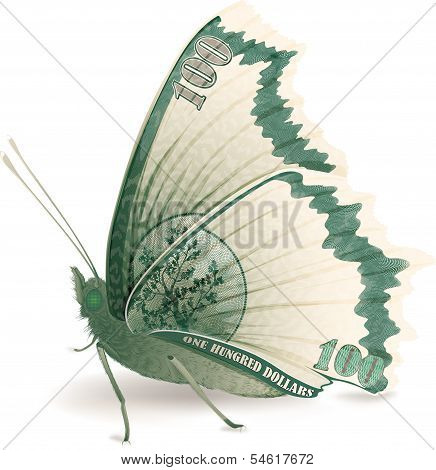 Money Butterfly