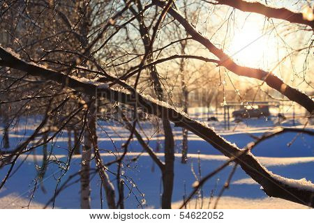 Winter sunset