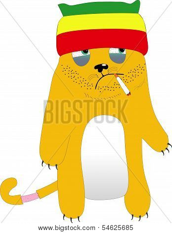 Rasta Cat