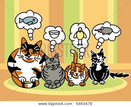 Wat katten denken over