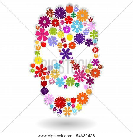 Flower Skull In Colors Over White