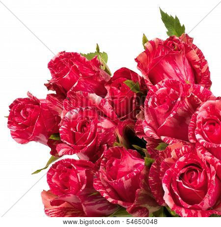 beautiful bouquet of pink roses