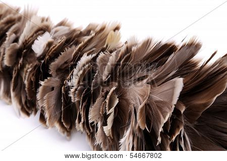 broom to sweep dust feather isolated