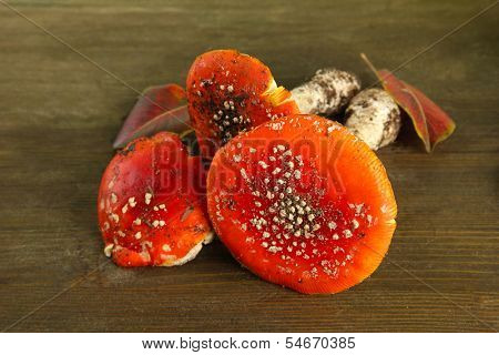 red amanitas, on wooden background