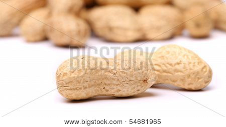 Two peanuts in closeup on the peanut background