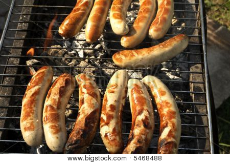 Grilli
