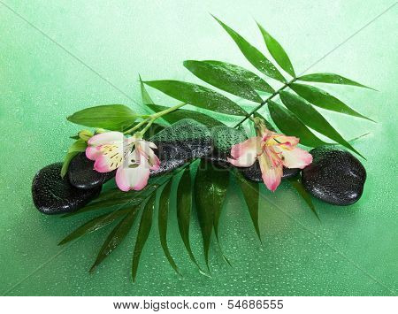 Wet stones and alstroemeria flower on a howea leaf