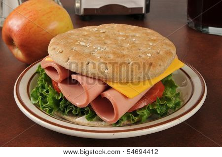 Bologna Sandwich