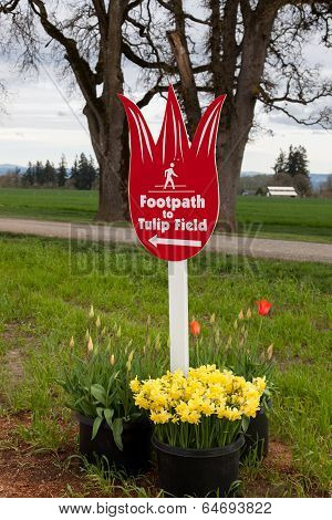 Tulip Field Sign
