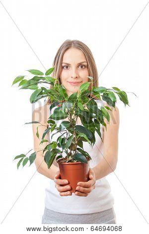 young woman holding a houseplant, isolated on white background
