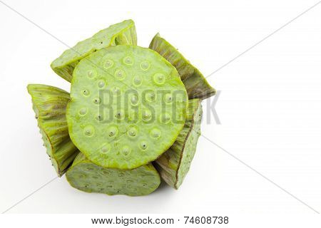 Calyx  On White Background