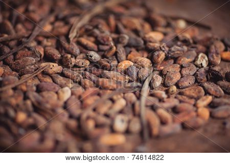 Roasting cocoa
