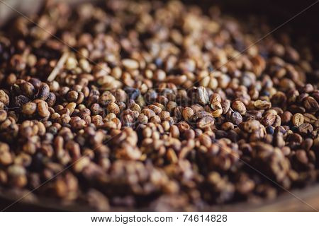 Robusta coffee