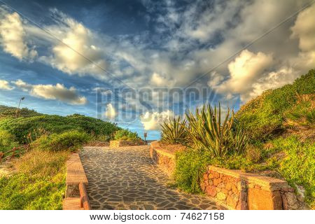 Walkway At Sunset