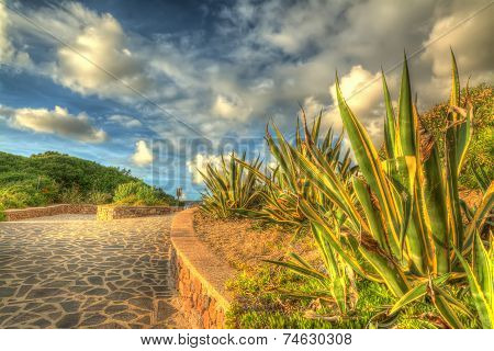 Hdr Walkway
