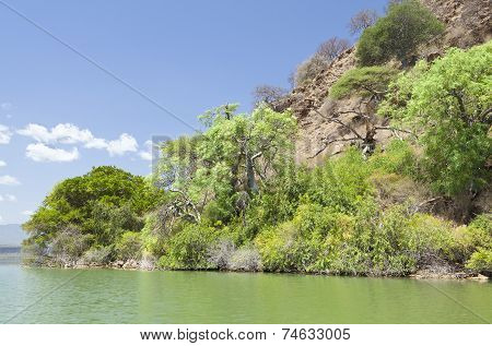 Island In Lake Baringo In Kenya.