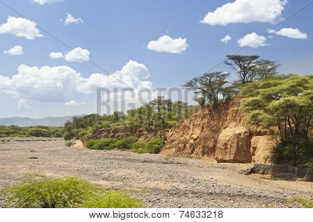 Dry River Bed In Kenya