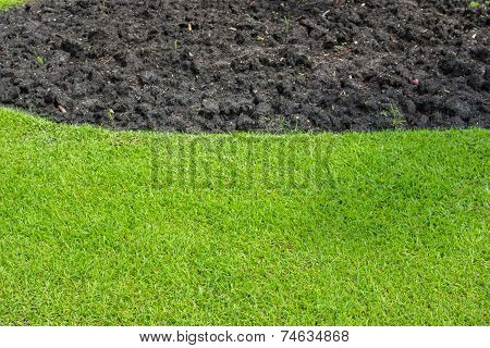 Cut blades of grass in a Viennese Park