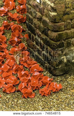 Poppies of Those Remembered