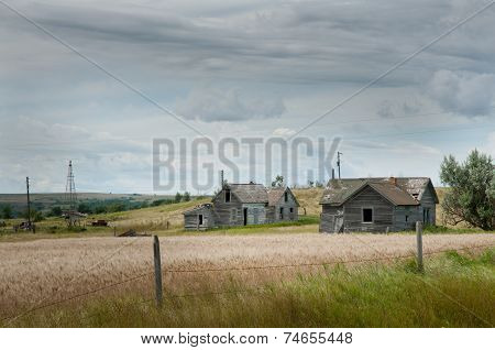 Old Abandoned Homestead