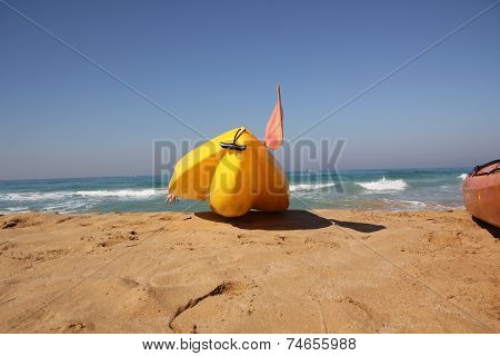 kayak