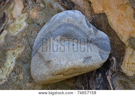 rock