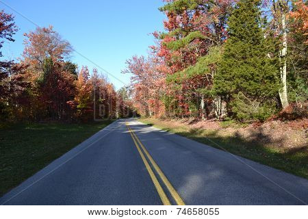Fall Mountain Road