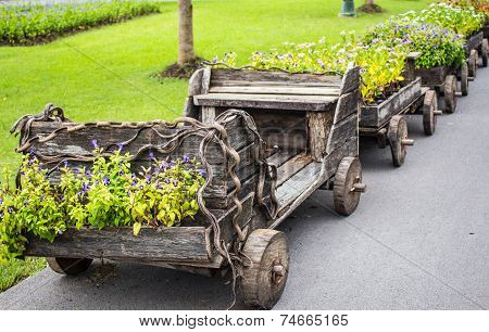 Car Pots