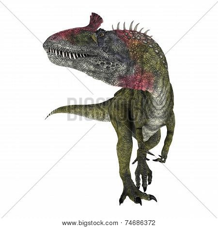 Dinosaur Cryolophosaurus