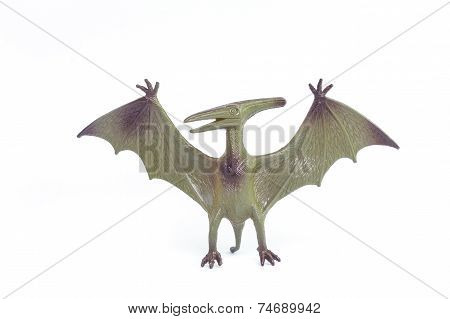 Pterosaurs dinosaur toy isolated on white