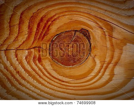Tree knot