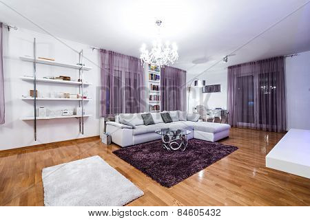 Luxury Specious Living Room Interior
