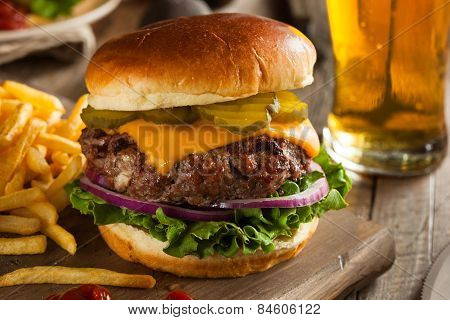 Grass Fed Bison Hamburger