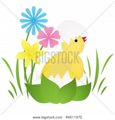 Easter Chick