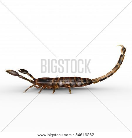 Palamnaeus