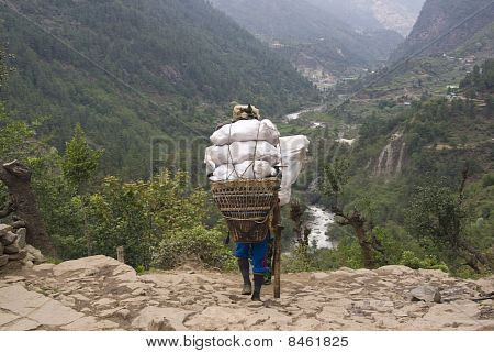 Porter del Himalaya