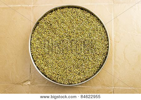 Coriander seeds kept for a plate for drying
