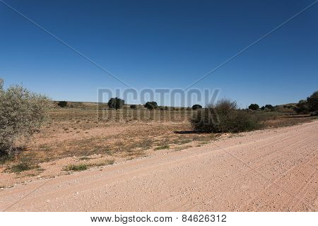 Kgalagadi